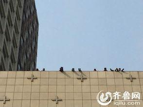 济南楼顶爆料事件最新,高空惊魂,真相背后引关注
