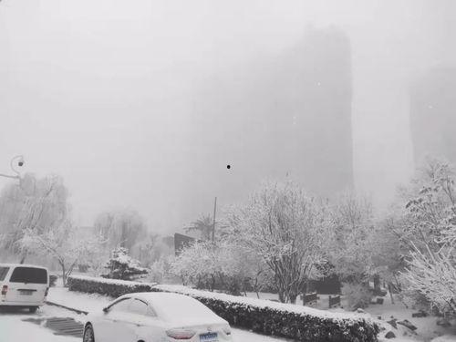 石家庄爆料下雪事件最新,城市交通受阻,市民生活受影响